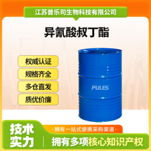 异氰酸叔丁酯